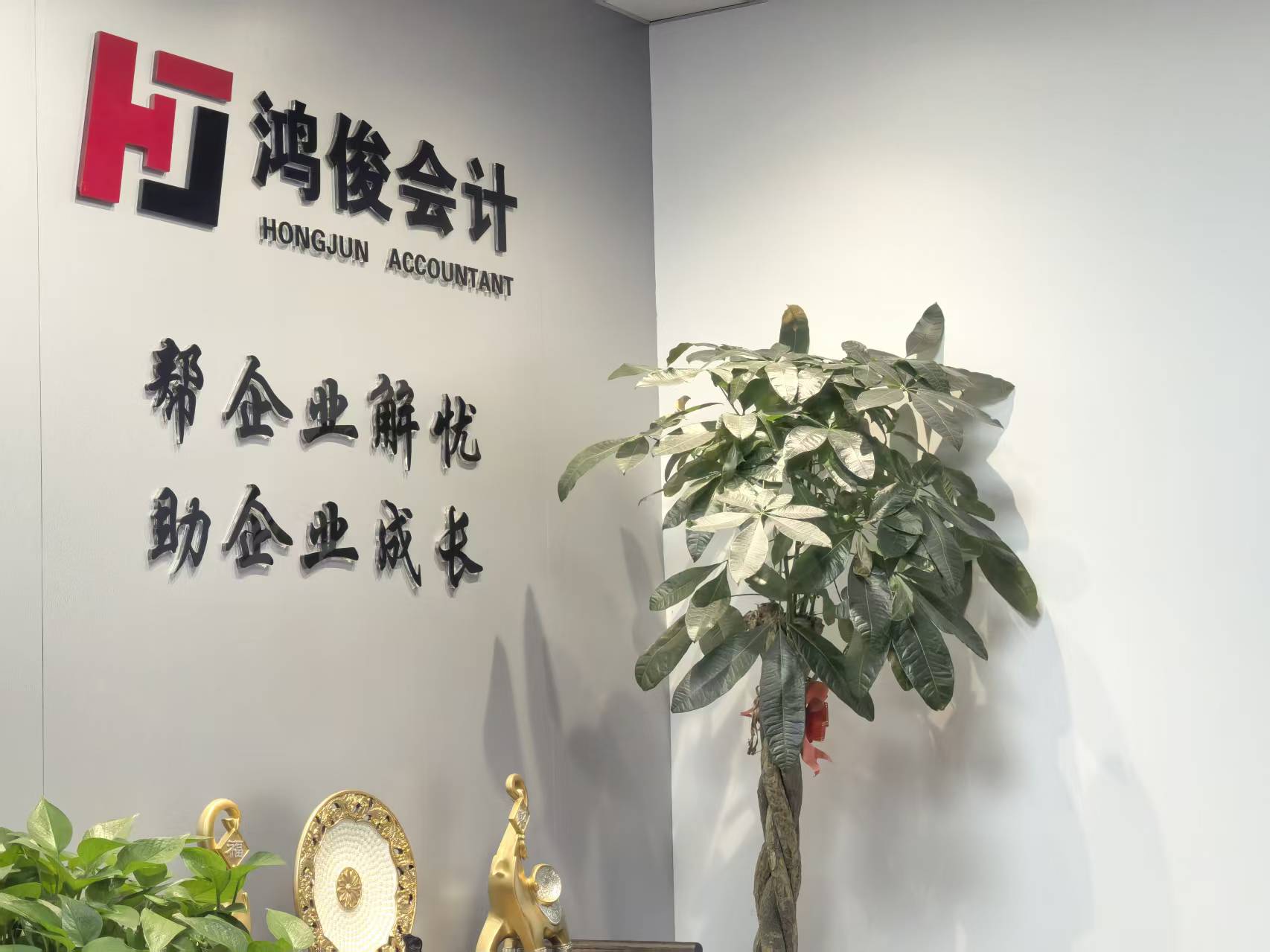 鸿俊财税 · 嘉兴本地一站式服务伙伴